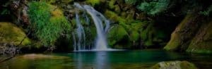 amazon rainforest basin