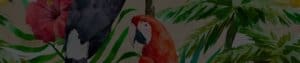 Bird Banner/Button