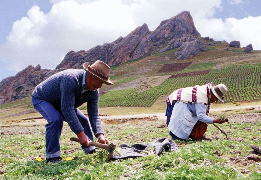 FarmWorkers